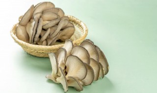 平菇如何清洗（平菇如何清洗不碎而且又能很快脱水）