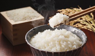 减肥米饭能吃吗（减肥米饭能吃吗会胖吗）