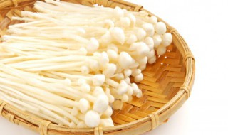 金针菇根部能吃吗（金针菇根部不能吃吗）