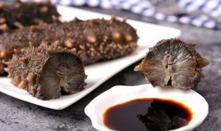 哪些人群不适合吃海参（哪些人群不适合吃海参呢）