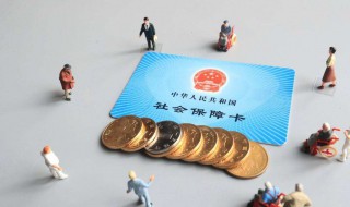 怎样查社保缴费情况 社保缴费怎么网上缴费