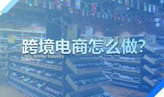 怎样做跨境电商（怎样做跨境电商平台）