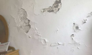 墙壁上的石灰怎么处理（墙壁上的石灰怎么溶解掉）