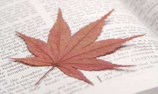 心若向阳的励志的句子（心若向阳的励志的句子英文）