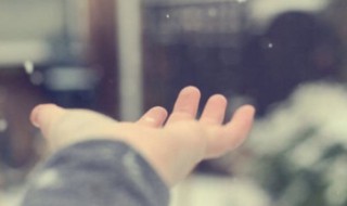 每天忙忙碌碌人生感悟（每天忙忙碌碌人生感悟一段话）