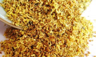 桂花酒的功效与作用（桂圆桂花酒的功效与作用）