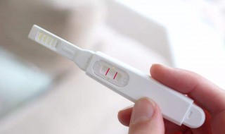 如何使用验孕棒（如何使用验孕棒更准确）