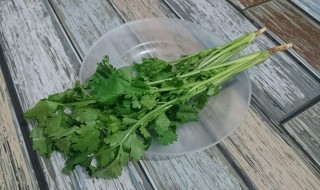 香菜祛斑方法（香菜祛斑方法怎么用）