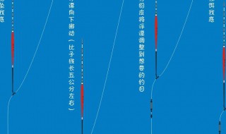 最简单的调漂方法（野钓最简单的调漂方法）