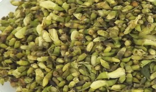 槐花茶的制作方法 槐花茶的制作方法和过程