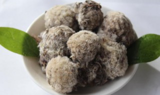 藏雪莲花的功效与作用及食用方法（干雪莲花泡水喝的功效）