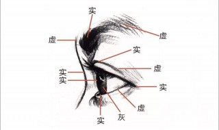五官指的是哪五官（五官指的是哪五官 人体五官解析）
