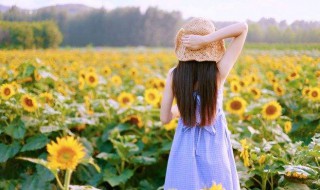 清新阳光短句（清新阳光的句子）