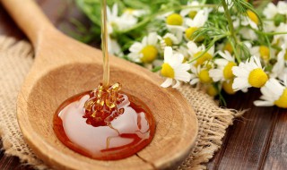 如何监别蜂蜜真假 怎样监别蜂蜜的真假?