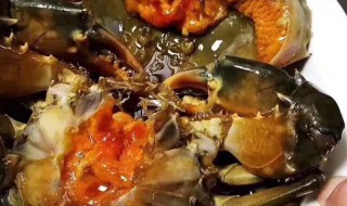青膏蟹该怎么保存（青膏蟹该怎么保存时间长）