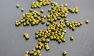 冰糖绿豆汤的保存方法 冰糖绿豆汤煮多久最好