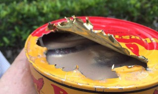 鲱鱼罐头那么臭为什么还有人吃（鲱鱼罐头那么臭为什么还有人吃1005无标题）