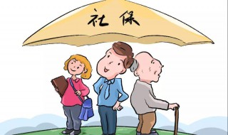 怎样查社保交了多少年（网上怎样查社保交了多少年）