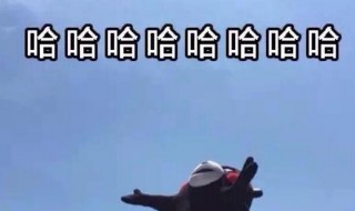 三个哈哈哈是什么意思?（三个哈哈哈是啥意思）
