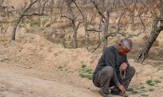 守村人是什么意思（守村人是什么意思病）