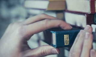 什么是网格化管理（什么是网格化管理服务的活力所在）