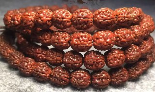 小金刚盘黑了补救方法（小金刚盘黑了后期能刷回来吗）