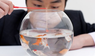 绑鱼嘴的方法 绑鱼的方法视频