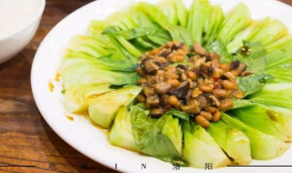炒青菜保持绿的方法 炒青菜时如何保持青菜翠绿的