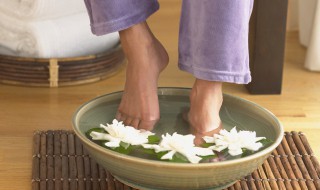 去湿养脾的方法（养脾去湿气的食物）