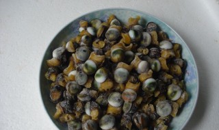 菜螺的养殖方法（菜螺的养殖方法视频）