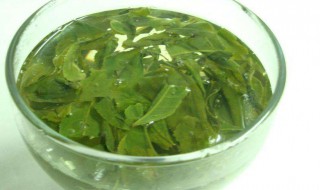 茶叶的用肥方法（怎样施茶叶肥）