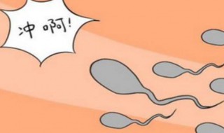 怎样才可以怀孕（女生怎样才可以怀孕）