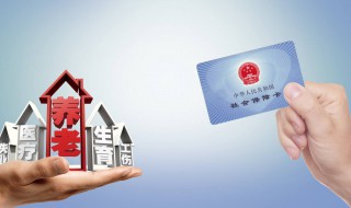 社保缴交怎么查询 社保缴交怎么查询缴费记录