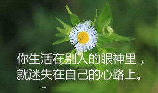 经典句子人生感悟 经典句子人生感悟励志