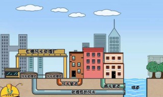 雨污分流怎么分的 雨污分流原理