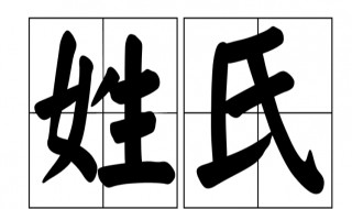 中国的第一大姓氏是什么（中国的第一大姓氏是什么姓氏）
