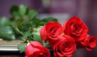21朵玫瑰花代表什么意思 21朵玫瑰花代表什么意思是什么含义
