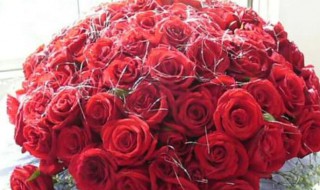 九朵玫瑰花代表什么 九朵玫瑰花代表什么意义和象征