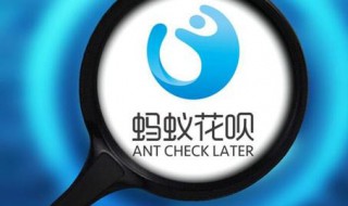 花呗不还有什么后果（借的花呗不还有什么后果）