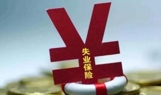 失业金是领保险金还是补助金 失业了是领失业补助金还是失业保险金