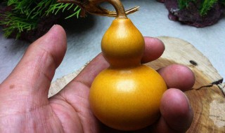 葫芦怎么处理才能保存 绿皮葫芦怎么处理才能保存
