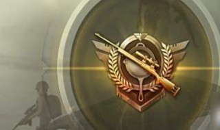 和平精英段位排行 吃鸡和平精英段位排行