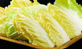 白菜苗几天浇一次水（白菜苗几天浇一次水啊）
