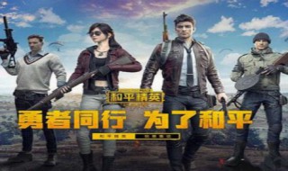 和平精英体验服怎么下（和平精英体验服怎么下载）