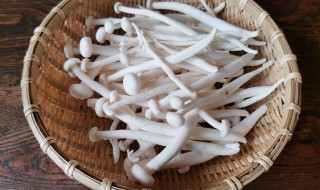 冰箱里海鲜菇长白毛可以吃吗（冰箱里海鲜菇长白毛可以吃吗能吃吗）