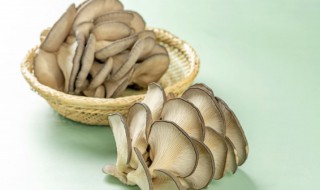 吃蘑菇会胖吗 减肥晚上吃蘑菇会胖吗