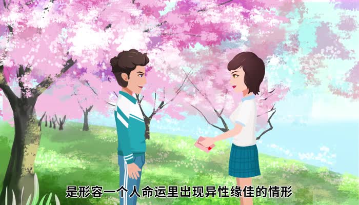 桃花运是什么意思 桃花运的意思