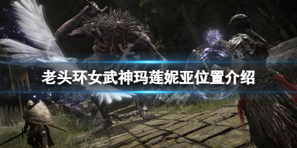 艾尔登法环女武神在哪 艾尔登法环女武神在哪怎么去