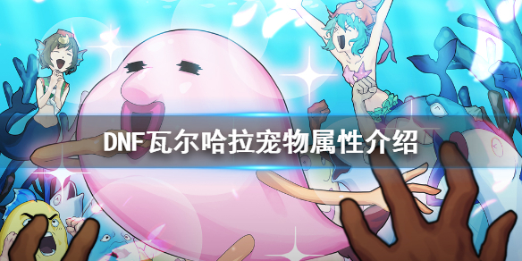DNF瓦尔哈拉宠物厉害吗（dnf瓦尔哈拉宠物厉害吗）