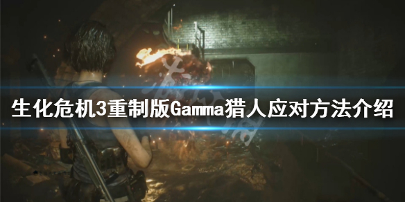 生化危机3重制版Gamma猎人怎么打（生化危机3重制版beta猎人）
